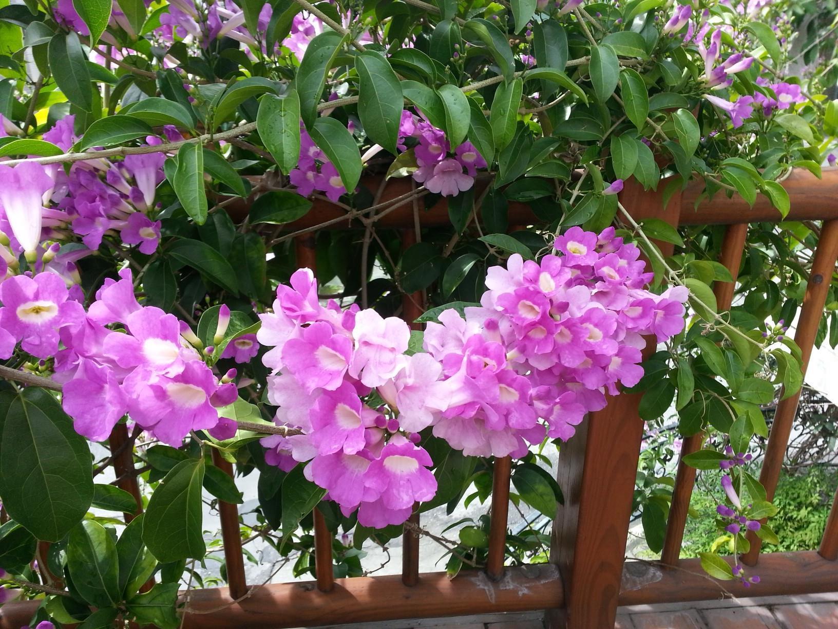 Melody Homestay Hualien City Luaran gambar